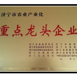 榮譽(yù)資質(zhì)